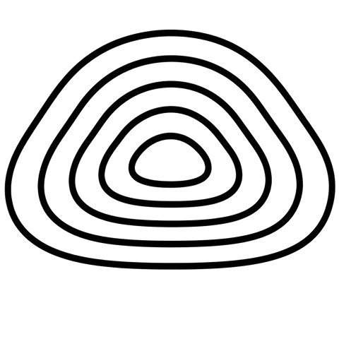 Quenzify Logo aus ineinanderliegenden Linien